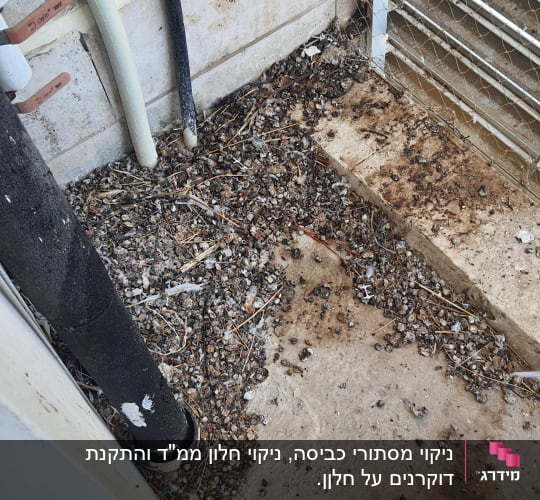 לכלוך ופסולת יונים בפינה עם צינורות וקיר
